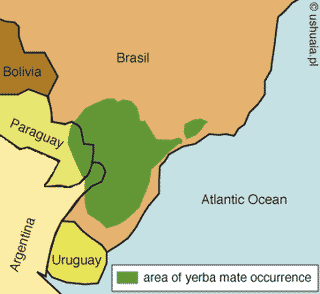 Area of yerba mate occurrence