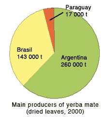 main yerba mate producing countries