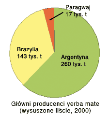 główni producenci yerba mate