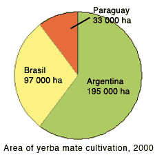area of yerba mate cultivation